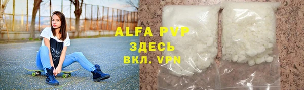 гашик Горняк