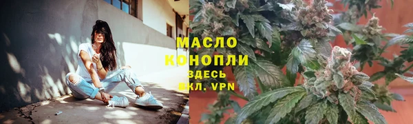 гидропоника Горно-Алтайск