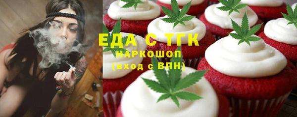 гашик Горняк
