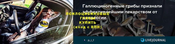 гидропоника Горно-Алтайск