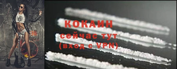 гашик Горняк