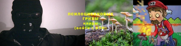 PSILOCYBIN Горнозаводск