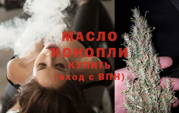 гашик Горняк