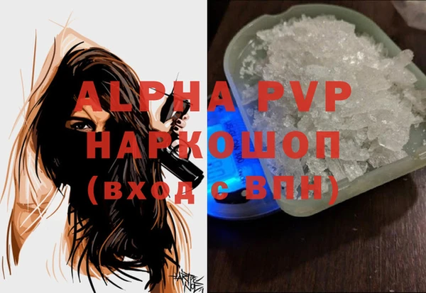гашик Горняк