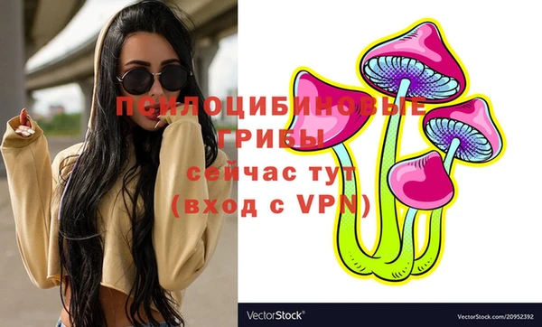 гашик Горняк