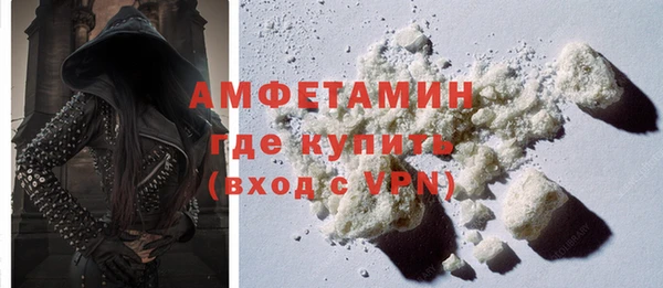 гашик Горняк