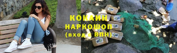 гашик Горняк