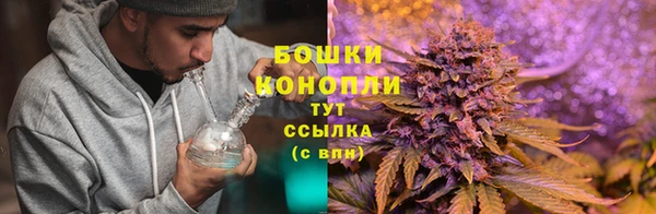 гидропоника Горно-Алтайск